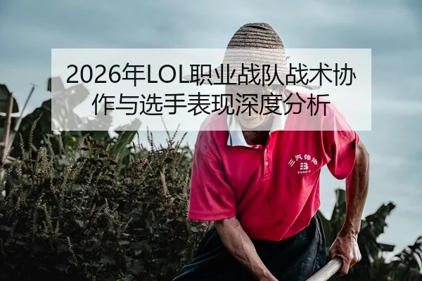 2026年LOL职业战队战术协作与选手表现深度分析