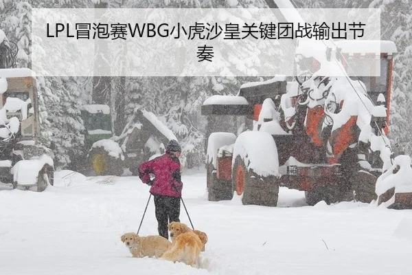 LPL冒泡赛WBG小虎沙皇关键团战输出节奏